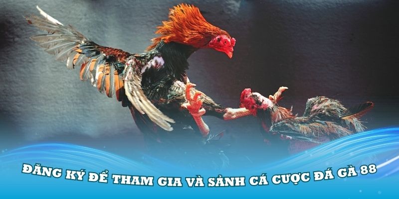 Đăng ký tham gia đá gà 88 để tận hưởng các trận đấu đỉnh cao