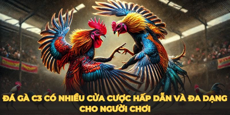 Đá gà C3 có nhiều cửa cược hấp dẫn và đa dạng cho người chơi