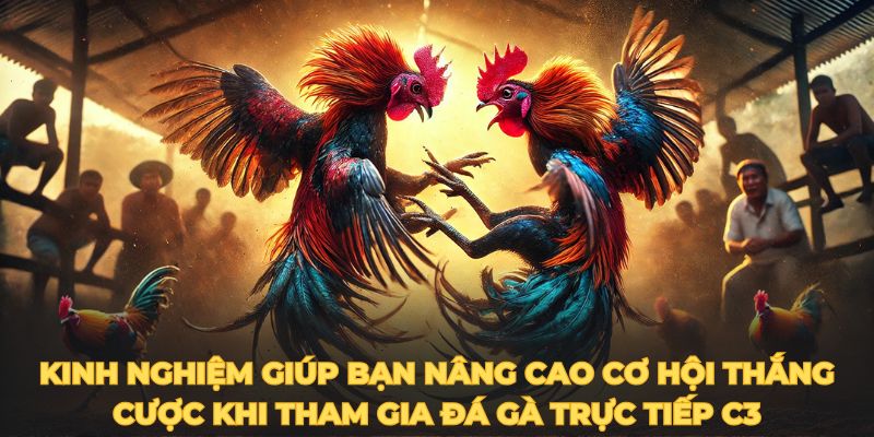 Kinh nghiệm giúp bạn nâng cao cơ hội thắng cược khi tham gia Đá gà trực tiếp C3